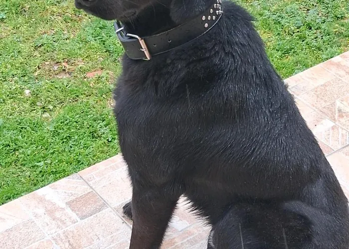 πέτρινο σπίτι-stone House Kostas *